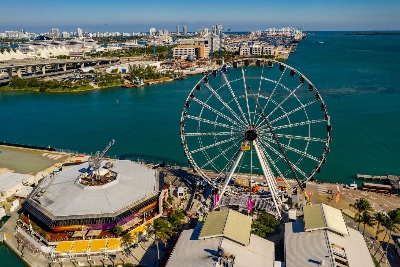 8 Must-Visit Family-Friendly Attractions in Miami, Florida