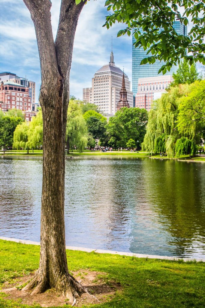 Exploring Family-Friendly Fun: Top Attractions and Activities in Boston