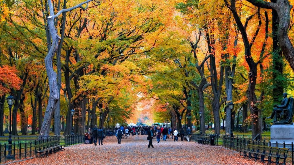 Discover the Magic of New York City Travel